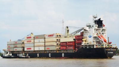 Lịch tàu Container của Vosco cập nhật ngày 12/07/2025